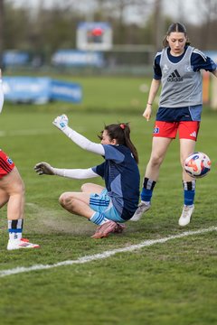 Bild 139 - wBJ Hamburger SV - Eimsbuettler TV : Ergebnis: 4:0